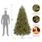 7.5 ft. Pre-Lit Feel Real® Jersey Fraser Fir Medium Hinged Artificial Christmas Tree, Clear Lights